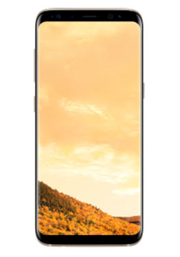Samsung Galaxy S8 wholesale | AVK GROUP